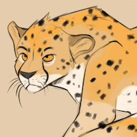 Cheetah