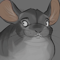 Chinchilla