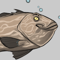 Grouper