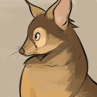 Ringtail Cat