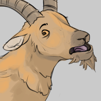 Ibex