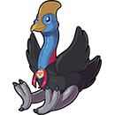 Australian Cassowary
