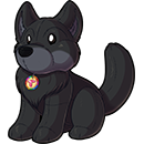 British Columbia Wolf