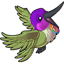Costas Humminbird