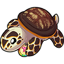 Hawksbill Turtle