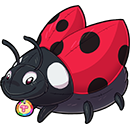 Sevenspot Ladybug