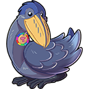 Shoebill Stork